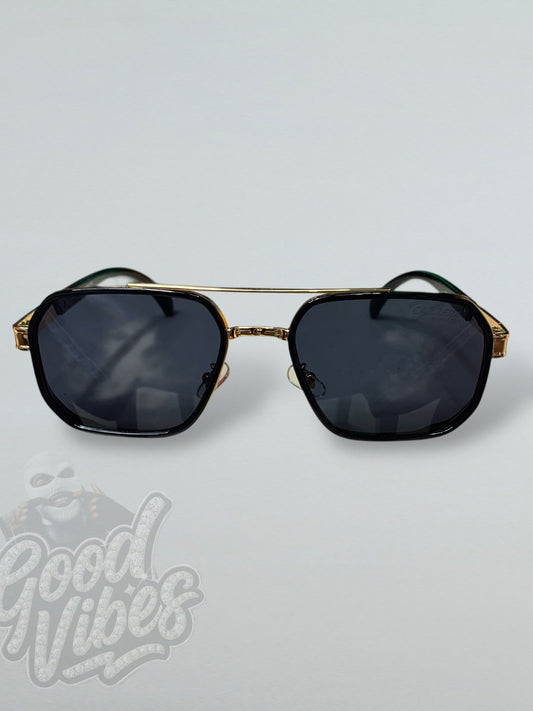 LENTES DE LUJO CARRERA.