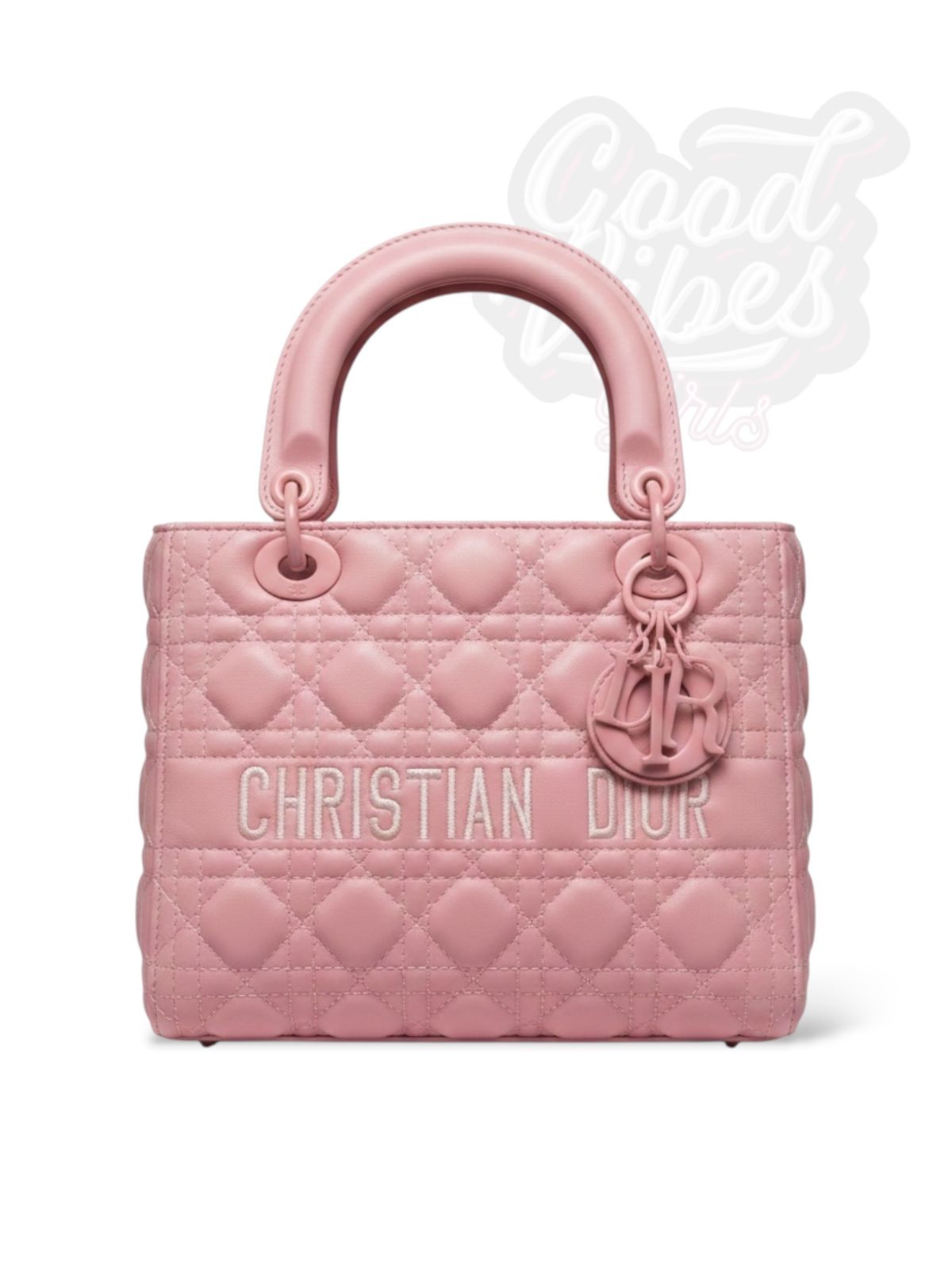 BOLSO CHRISTIAN DIOR EXCLUSIVE.